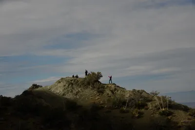 DSC_6293 (Large).JPG